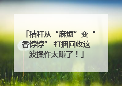 秸秆从“麻烦”变“香饽饽” 打捆回收这波操作太赚了！