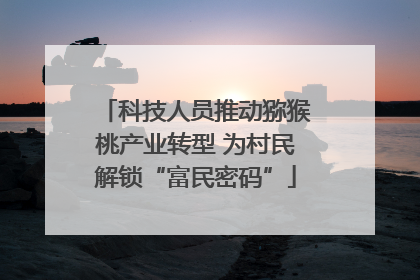 科技人员推动猕猴桃产业转型 为村民解锁“富民密码”