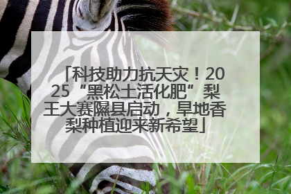 科技助力抗天灾！2025“黑松土活化肥”梨王大赛隰县启动，旱地香梨种植迎来新希望