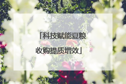 科技赋能夏粮收购提质增效