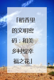 稻香里的文明密码：和美乡村绽幸福之花