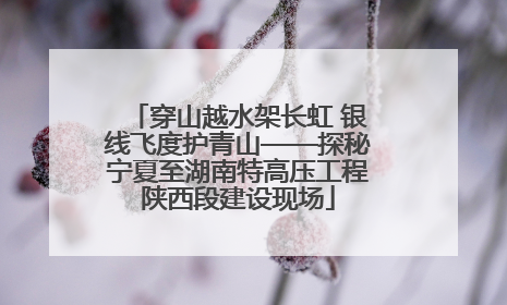 穿山越水架长虹 银线飞度护青山——探秘宁夏至湖南特高压工程陕西段建设现场