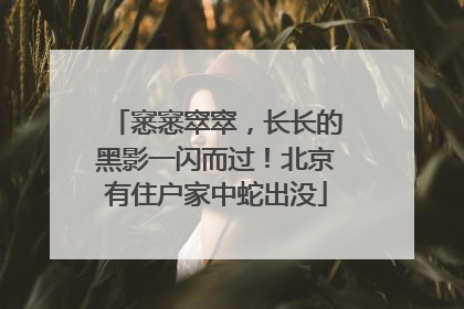 窸窸窣窣，长长的黑影一闪而过！北京有住户家中蛇出没