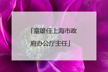 章雄任上海市政府办公厅主任