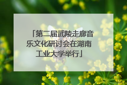 第二届武陵走廊音乐文化研讨会在湖南工业大学举行