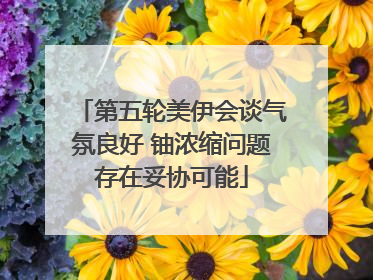 第五轮美伊会谈气氛良好 铀浓缩问题存在妥协可能