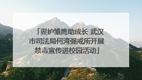 翼护雏鹰助成长 武汉市司法局何湾强戒所开展禁毒宣传进校园活动