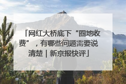网红大桥底下“圈地收费”，有哪些问题需要说清楚｜新京报快评