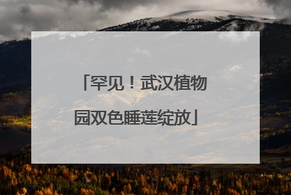 罕见！武汉植物园双色睡莲绽放