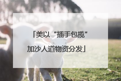 美以“插手包揽”加沙人道物资分发