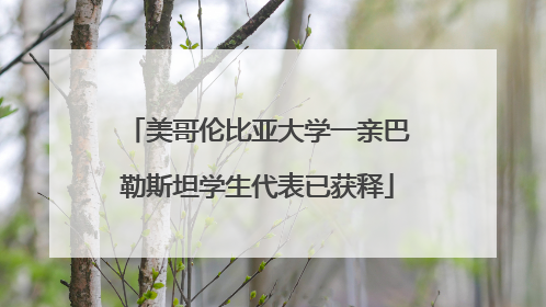 美哥伦比亚大学一亲巴勒斯坦学生代表已获释