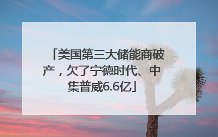 美国第三大储能商破产，欠了宁德时代、中集普威6.6亿