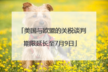 美国与欧盟的关税谈判期限延长至7月9日