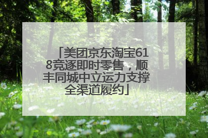 美团京东淘宝618竞逐即时零售，顺丰同城中立运力支撑全渠道履约