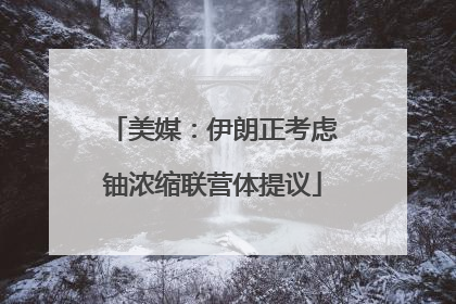 美媒：伊朗正考虑铀浓缩联营体提议