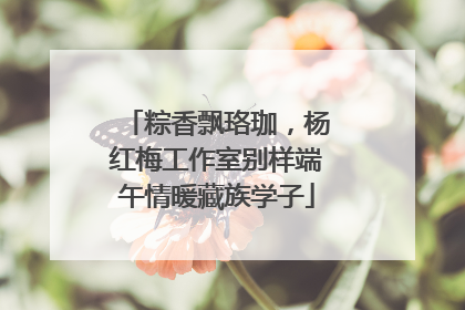 粽香飘珞珈，杨红梅工作室别样端午情暖藏族学子