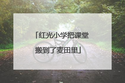 红光小学把课堂搬到了麦田里