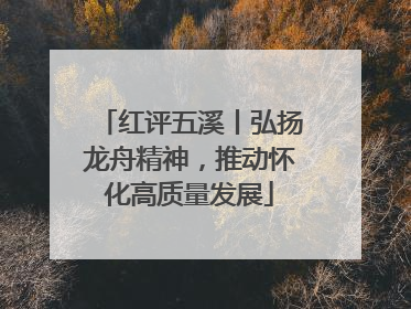 红评五溪丨弘扬龙舟精神，推动怀化高质量发展