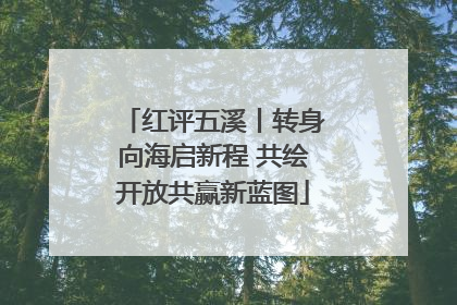 红评五溪丨转身向海启新程 共绘开放共赢新蓝图