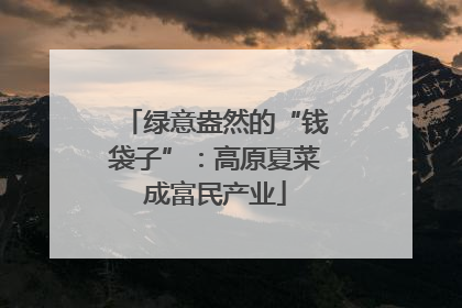 绿意盎然的“钱袋子”：高原夏菜成富民产业