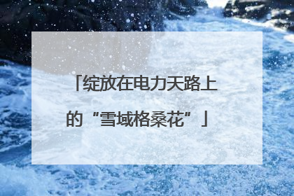 绽放在电力天路上的“雪域格桑花”