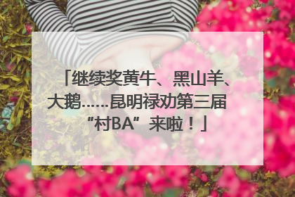 继续奖黄牛、黑山羊、大鹅……昆明禄劝第三届“村BA”来啦！