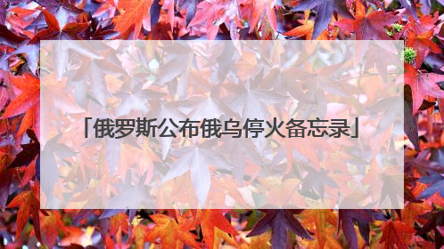 俄罗斯公布俄乌停火备忘录