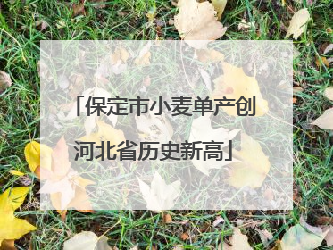 保定市小麦单产创河北省历史新高