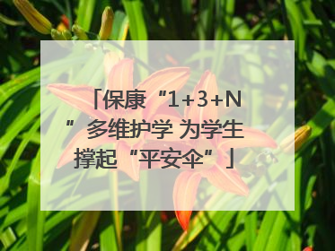 保康“1+3+N”多维护学 为学生撑起“平安伞”