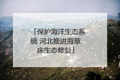 保护海洋生态系统 河北推进海草床生态修复