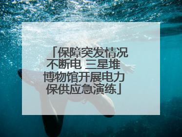 保障突发情况不断电 三星堆博物馆开展电力保供应急演练
