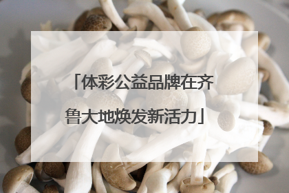 体彩公益品牌在齐鲁大地焕发新活力