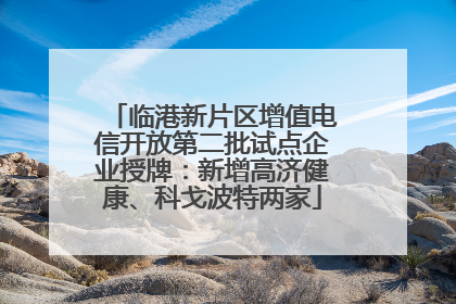 临港新片区增值电信开放第二批试点企业授牌：新增高济健康、科戈波特两家