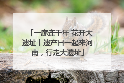 一廊连千年 花开大遗址丨遗产日一起来河南，行走大遗址