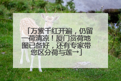 万紫千红开遍，仍留一荷清凉！厦门赏荷地图已备好，还有专家带您区分荷与莲→