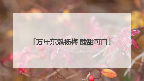 万年东魁杨梅 酸甜可口