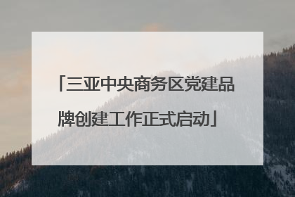 三亚中央商务区党建品牌创建工作正式启动