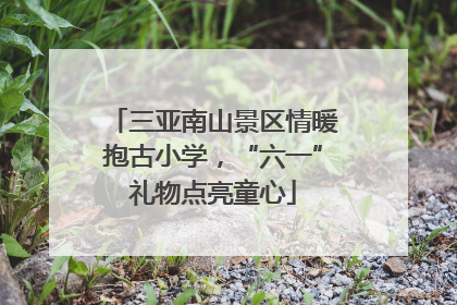 三亚南山景区情暖抱古小学，“六一”礼物点亮童心