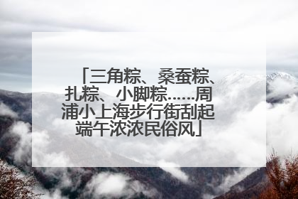三角粽、桑蚕粽、扎粽、小脚粽……周浦小上海步行街刮起端午浓浓民俗风