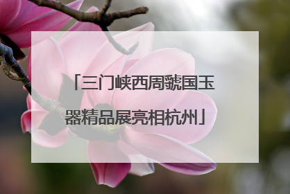 三门峡西周虢国玉器精品展亮相杭州
