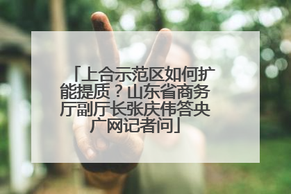 上合示范区如何扩能提质？山东省商务厅副厅长张庆伟答央广网记者问
