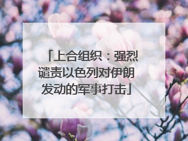 上合组织：强烈谴责以色列对伊朗发动的军事打击