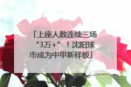 上座人数连续三场“3万+”！沈阳球市成为中甲新样板