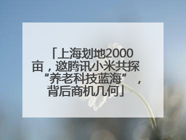 上海划地2000亩，邀腾讯小米共探“养老科技蓝海”，背后商机几何