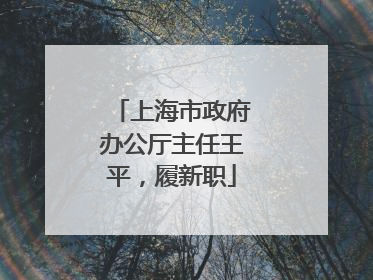 上海市政府办公厅主任王平，履新职