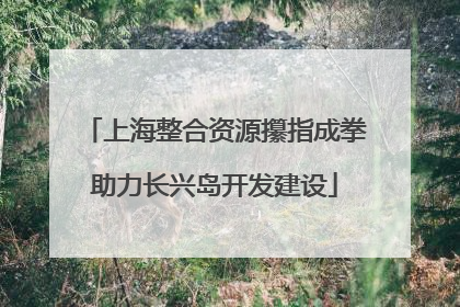 上海整合资源攥指成拳助力长兴岛开发建设