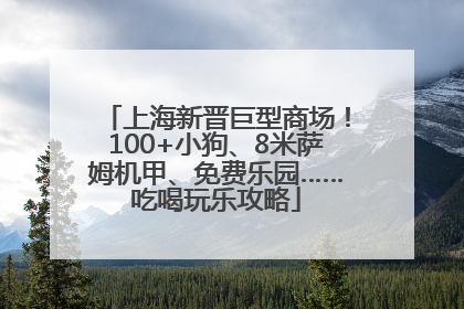 上海新晋巨型商场！100+小狗、8米萨姆机甲、免费乐园……吃喝玩乐攻略