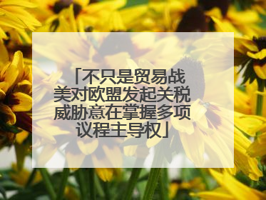 不只是贸易战 美对欧盟发起关税威胁意在掌握多项议程主导权