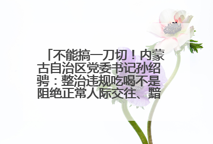 不能搞一刀切！内蒙古自治区党委书记孙绍骋：整治违规吃喝不是阻绝正常人际交往、黯淡人间烟火