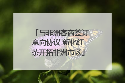 与非洲客商签订意向协议 新化红茶开拓非洲市场